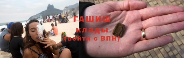 крисы Бородино