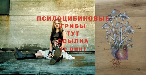 крисы Бородино