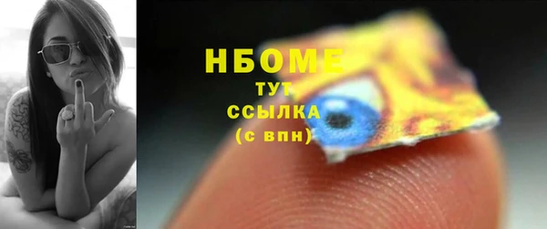 крисы Бородино