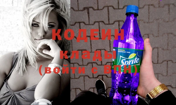 индика Волоколамск