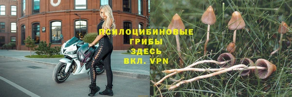 jwh Бугульма