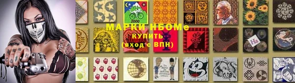 крисы Бородино