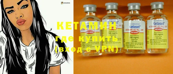 крисы Бородино