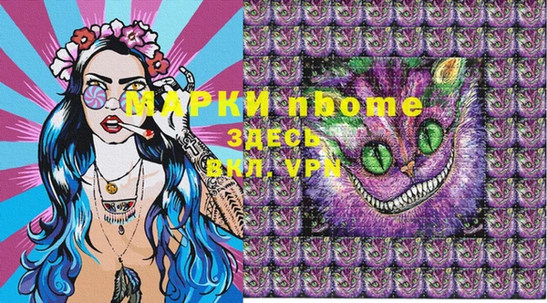 крисы Бородино